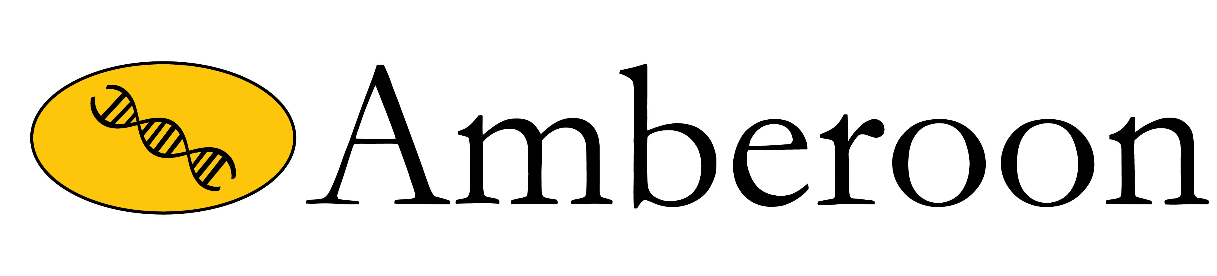 Amberoon Inc